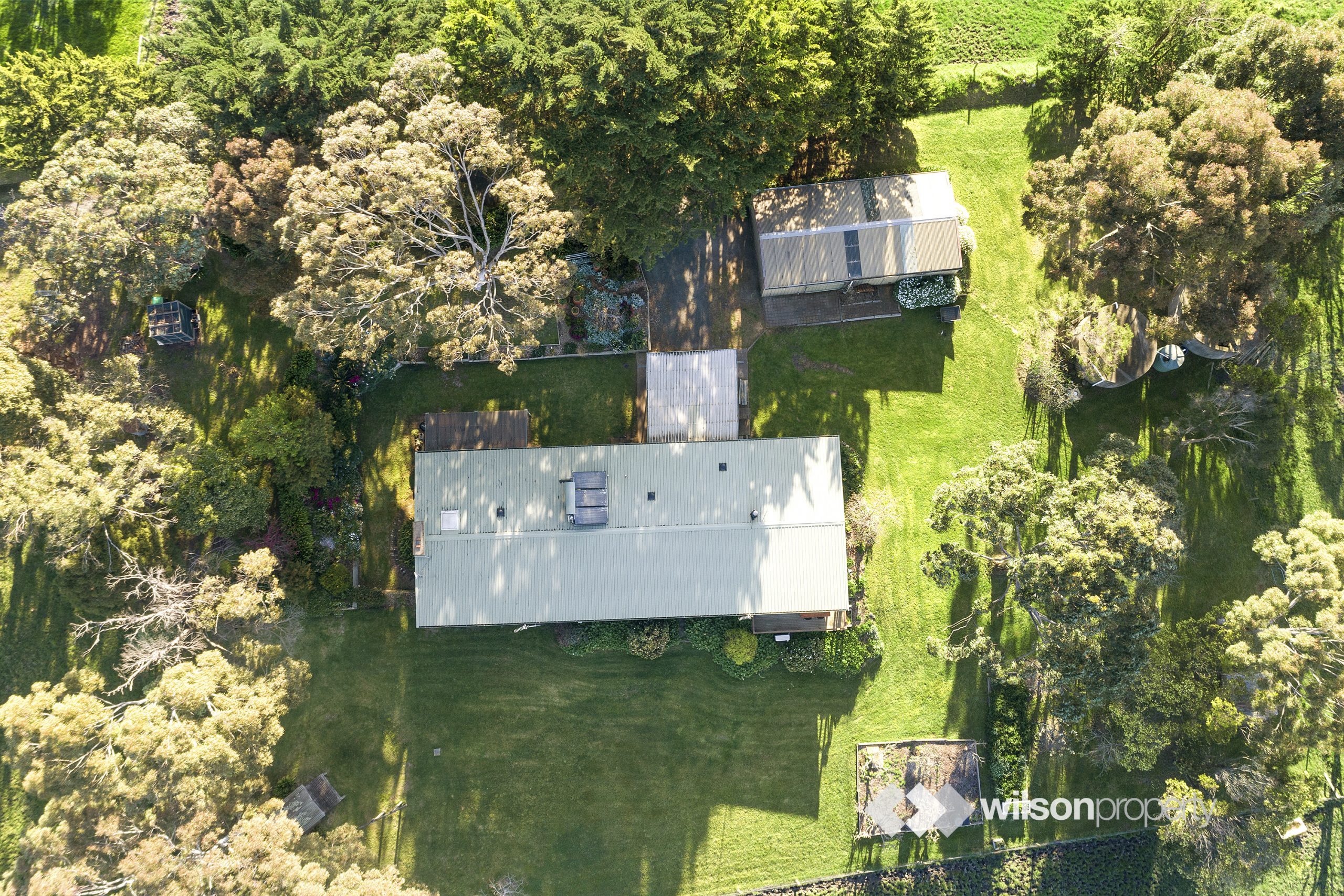 105 Trovatello Place, Tyers, VIC 3844 AUS