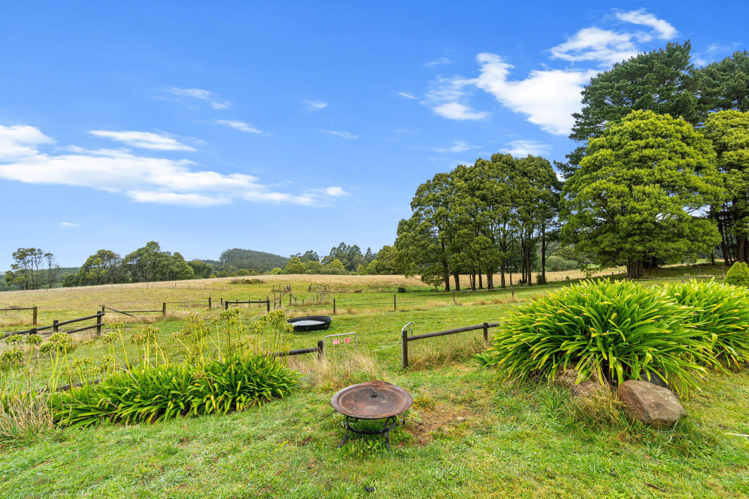 971 Grand Ridge Road, Blackwarry, VIC 3844 AUS