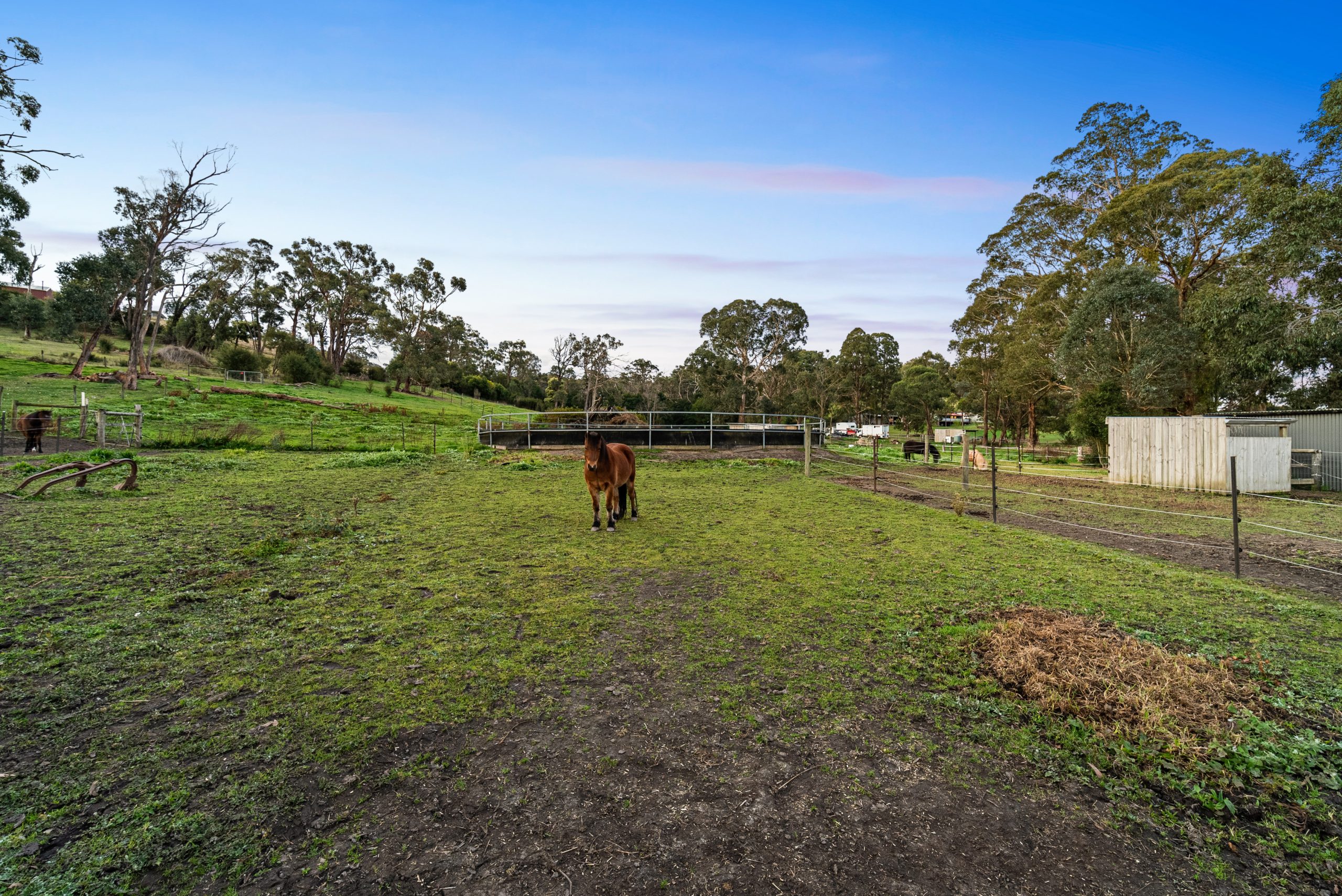 95 Mays Road, Tyers, VIC 3844 AUS