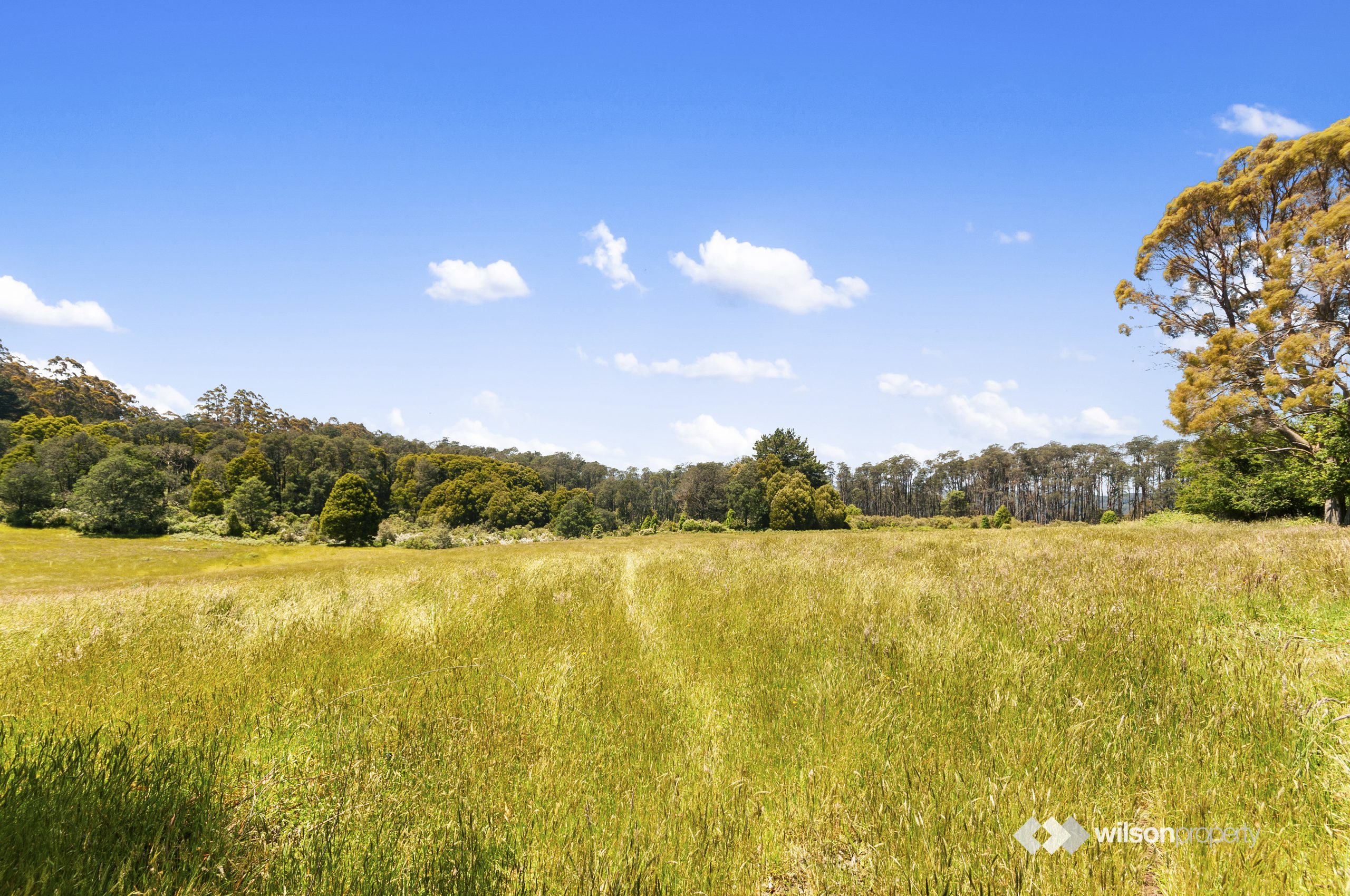 1291 Grand Ridge Road, Blackwarry, VIC 3844 AUS