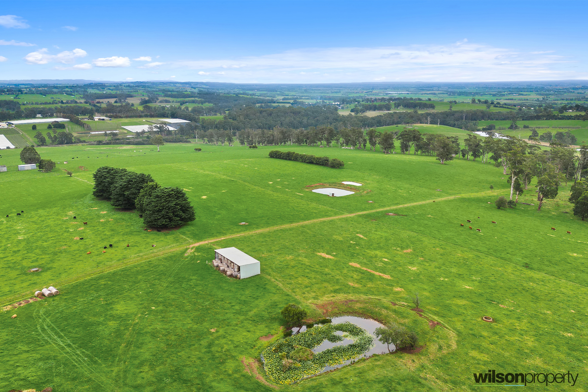 430 Longwarry-Drouin Road, Drouin, VIC 3818 AUS