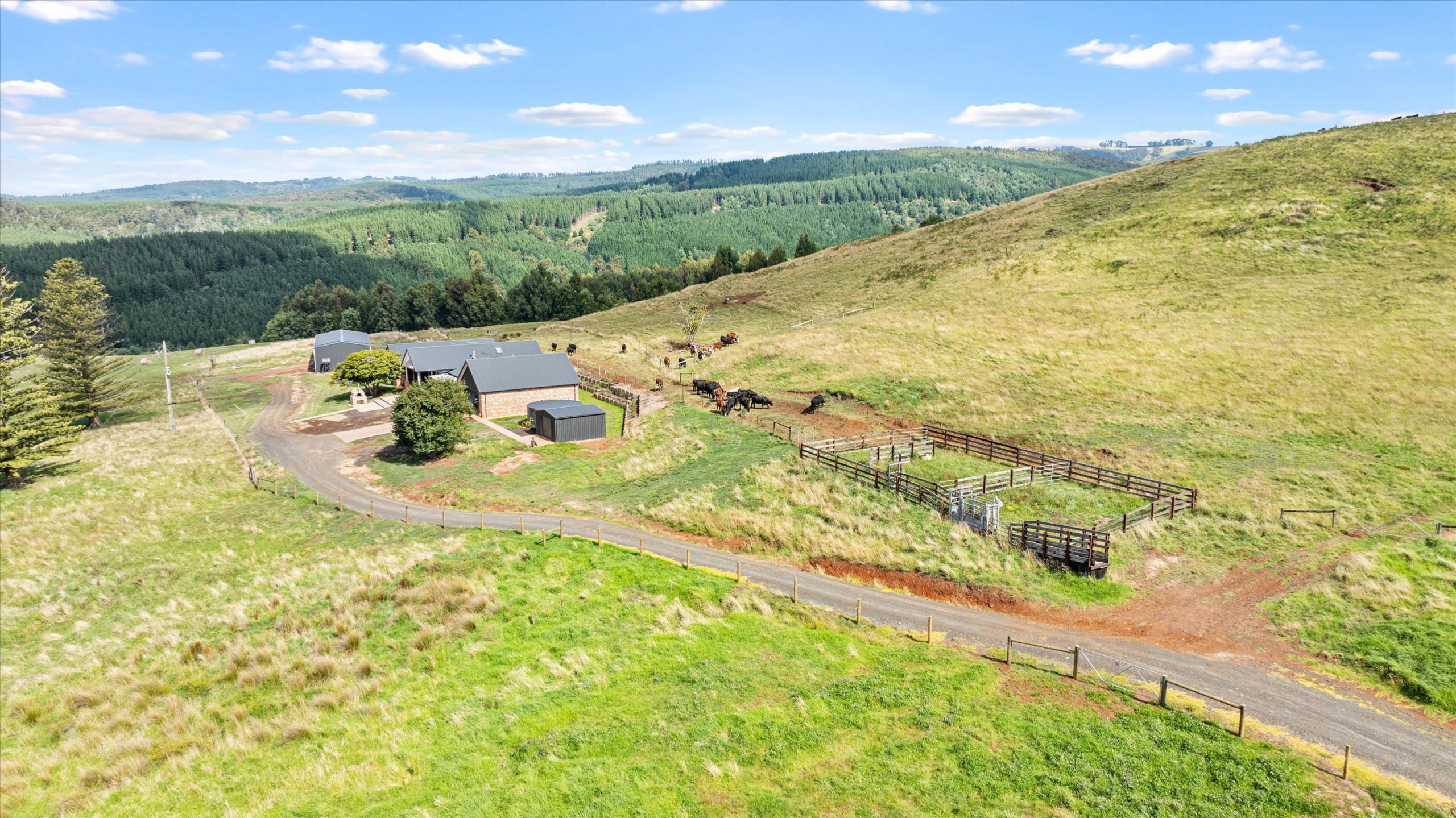 120 Lyndons Road, Callignee, VIC 3844 AUS