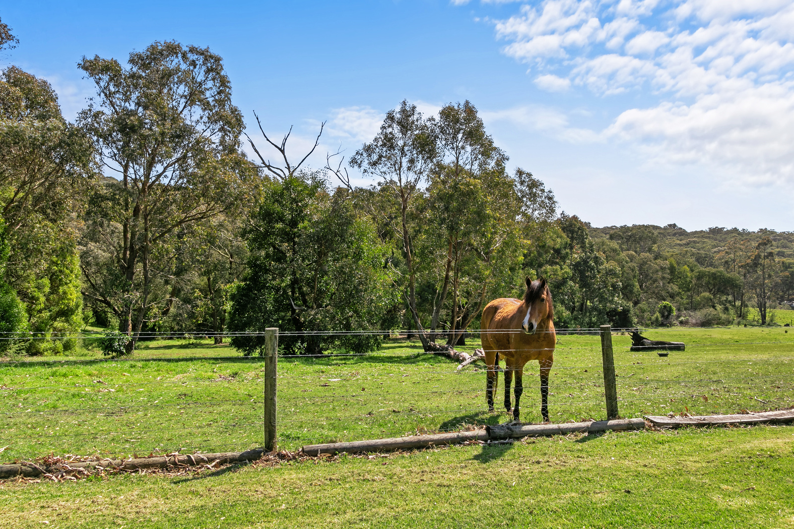 75 Powers Road, Callignee, VIC 3844 AUS
