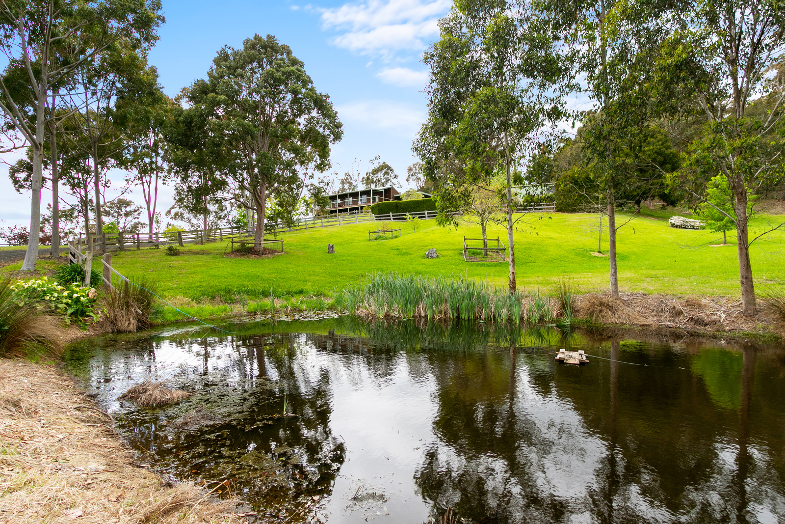 5 Bradys Road, Tyers, VIC 3844 AUS
