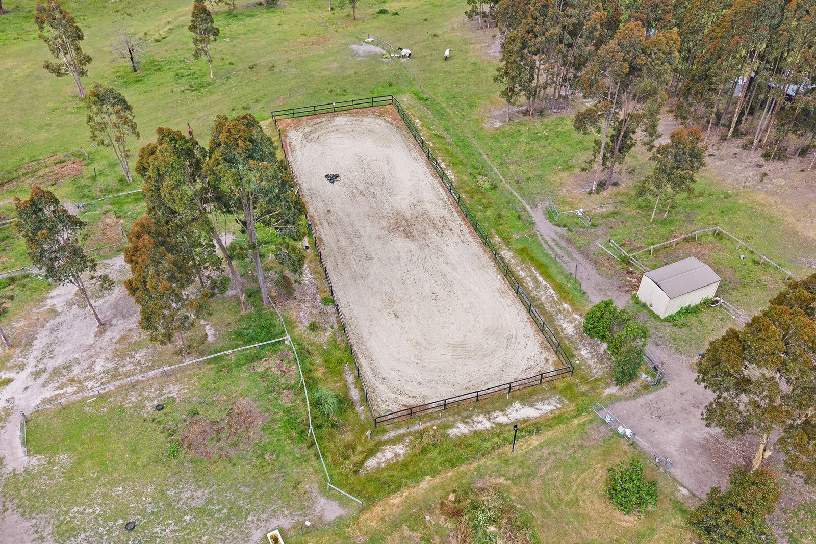 56 Kings Road, Driffield, VIC 3840 AUS