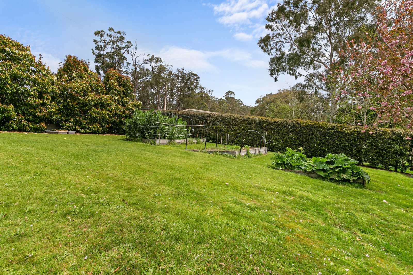 45 Explorers Road, Yinnar South, VIC 3869 AUS